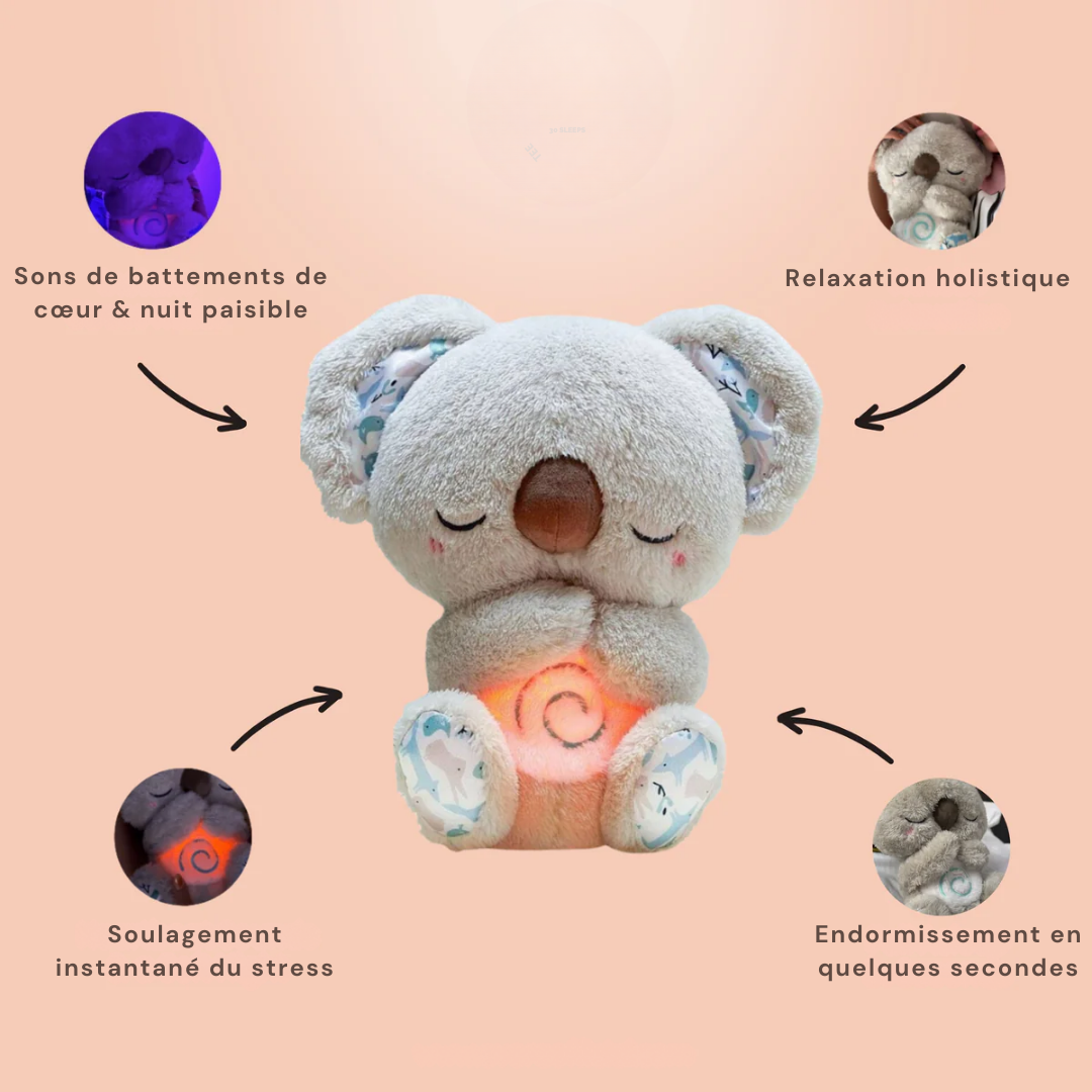 Koala Zen™