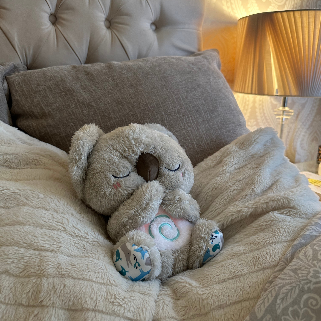 Koala Zen™