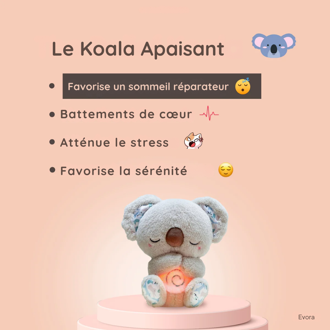 Koala Zen™