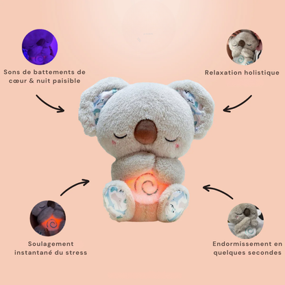 Koala Zen™