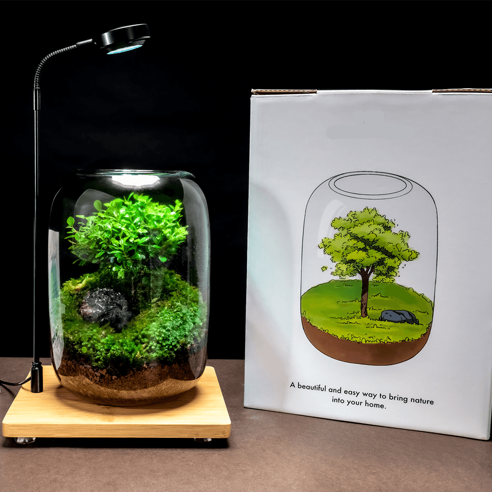 Arbre de Vie™ | Un Élixir de Nature pour votre Espace de Vie