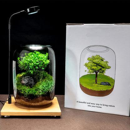 Arbre de Vie™ | Un Élixir de Nature pour votre Espace de Vie