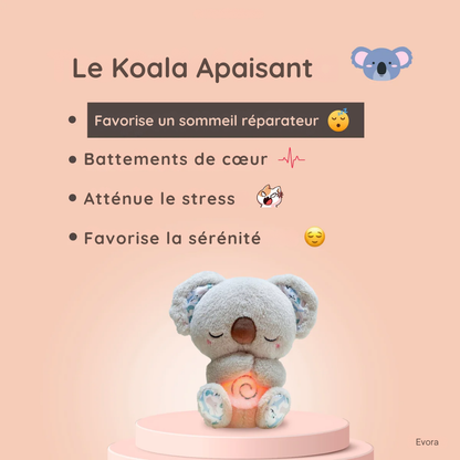 Koala Zen™